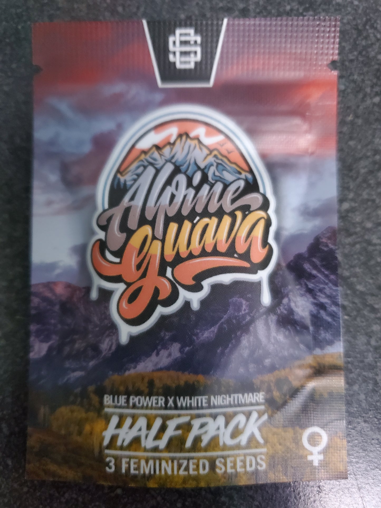 SinCitySeeds - Alpine Guava - half pack(3fem)