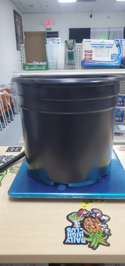 3 gallon Plastic planter pot