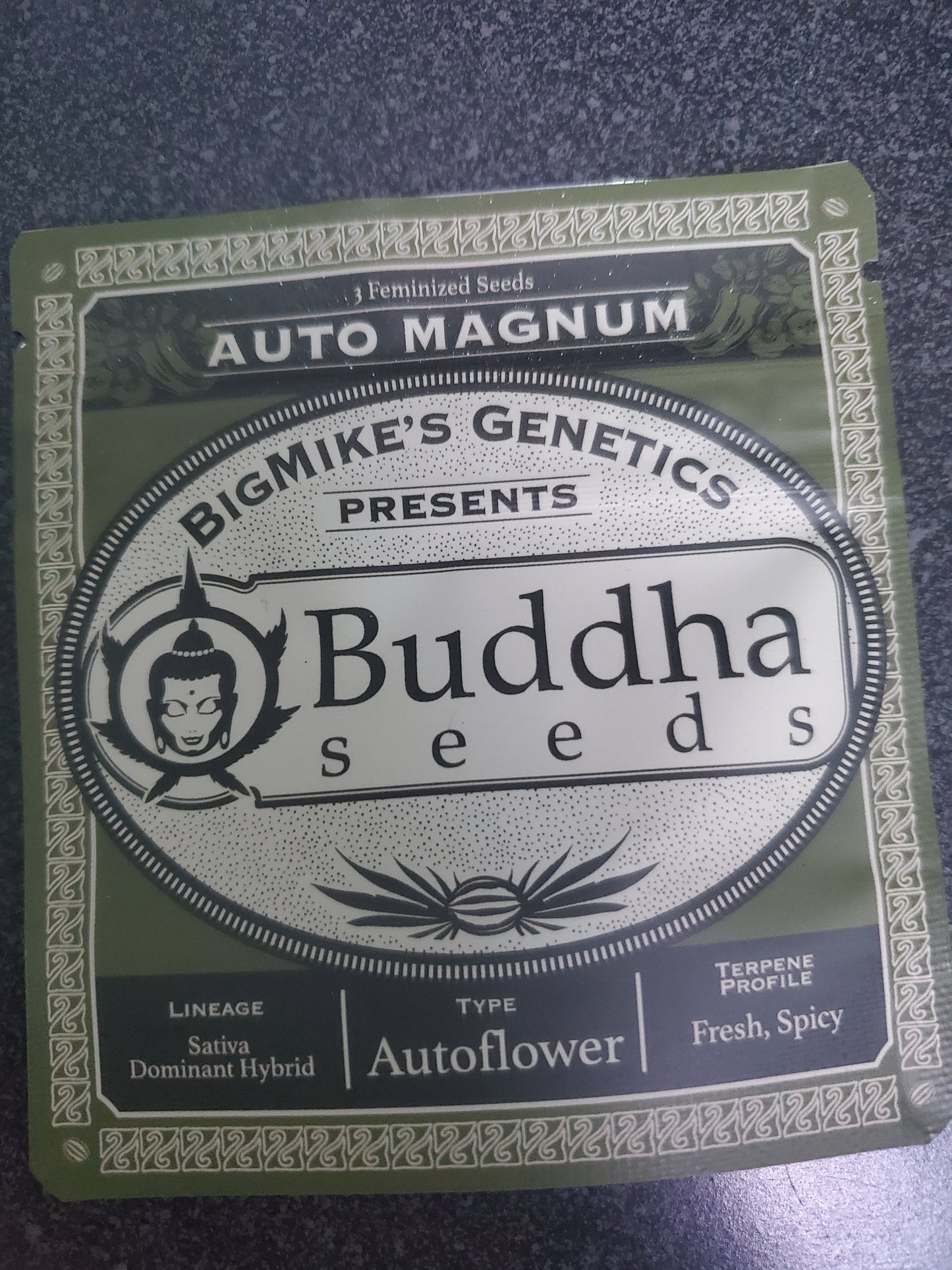 BMG - Auto Magnum