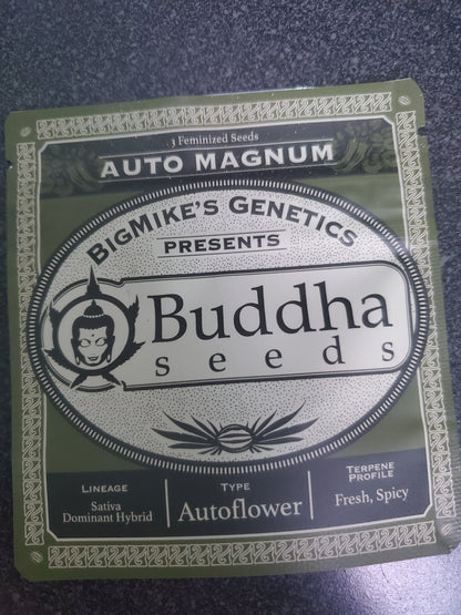 BMG - Auto Magnum